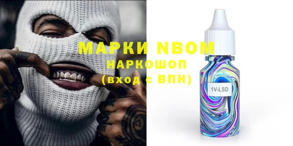 шишки Алзамай