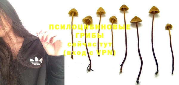 шишки Алзамай