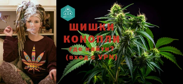 шишки Алзамай